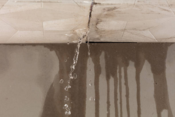 Professional Structural Drying technician working in Columbus, NJ
